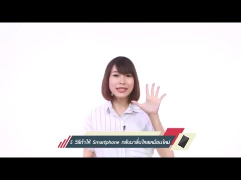 ซื้อพรูค้อนในลัตสก์ ไม่ว่าจะหมกมุ่นแรง