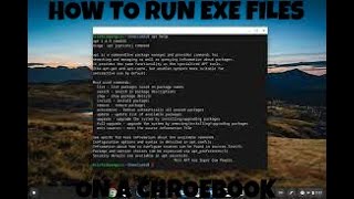 How to run exe files on a chromebook