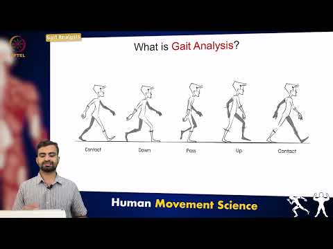 Gait Analysis