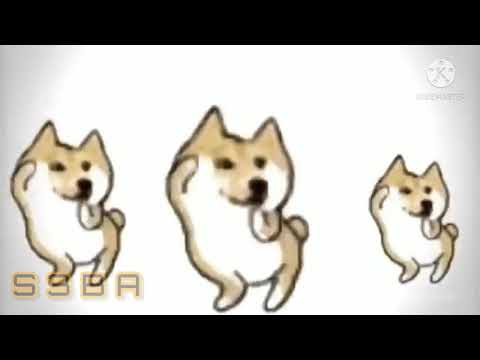 Swagger Stagger // Dogs Dancing // S3BA