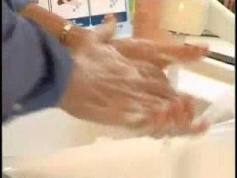 NSF International featured on Peter's Principles:  How to Improve Food Safety in the Home