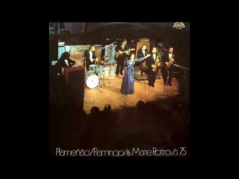 Marie Rottrová   Čas motýlů