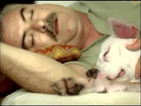 Nap PSA