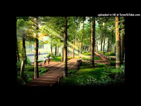 Chiều công viên xưa - Quang Tuấn