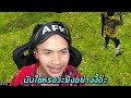 ฟีฟาย