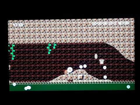 Super Mario maker 2 the poisoned sewers