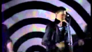 Executive Slacks - The Bus