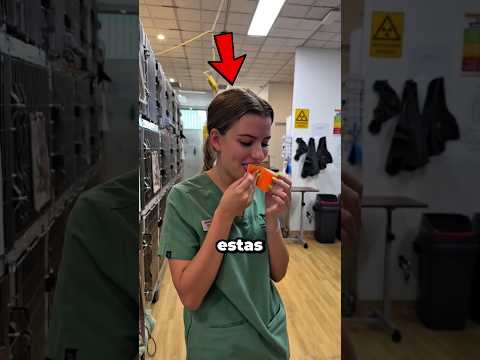 ¿Por Qué Este Vendaje Tiene un Sabor Horrible?😱