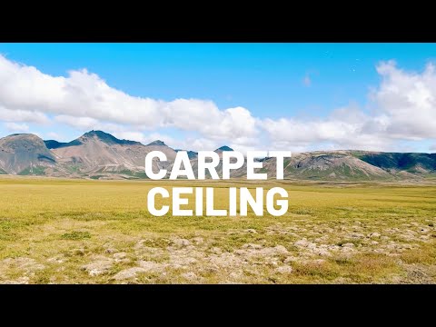 Platonick Dive - Carpet Ceiling (Official Video)