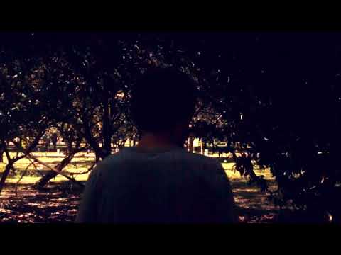 Terra - Lupe de Lupe