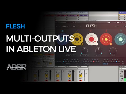 FLESH Quick Intro & Multi-Outputs in Ableton Live