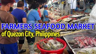 FARMERS MARKET TOUR in QUEZON CITY 2022 | Prices of Seafood in Metro Manila