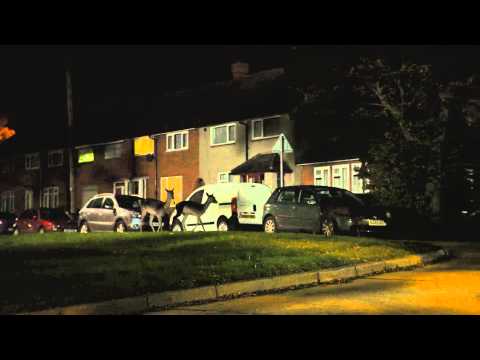 Canon: Urban Deer