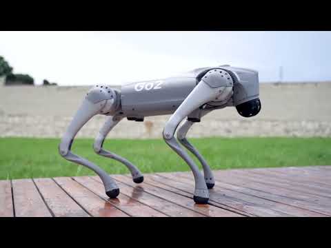 Introducing Unitree Go2 - Quadruped Robot of Embodied AI from $1600