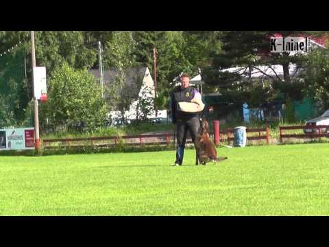 Erik Engeland & Crutt av Staalhjerte - C Norwegian Masters 2013