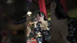 Download lagu Jambu Alas, koplo mp3 Download lagu Jambu Alas, koplo mp3