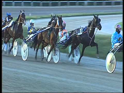 Trotto 19/02/2016 - 5° corsa