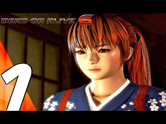 DEAD OR ALIVE 6