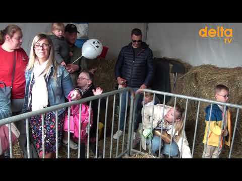 Gravelines : l'opération "la ferme en ville"  a séduit petits et grands