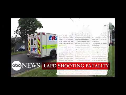 The walking dead universe eas Scenario￼ movie 