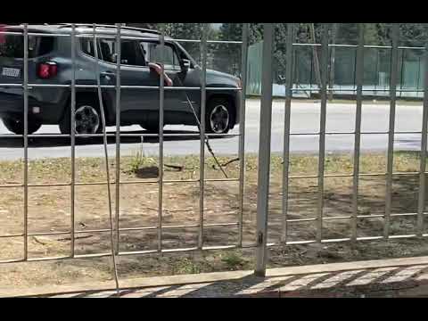 Castel di Sangro • Polizia in Borghese