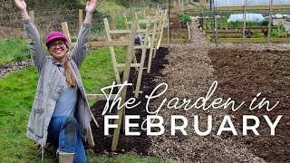 The Garden in February