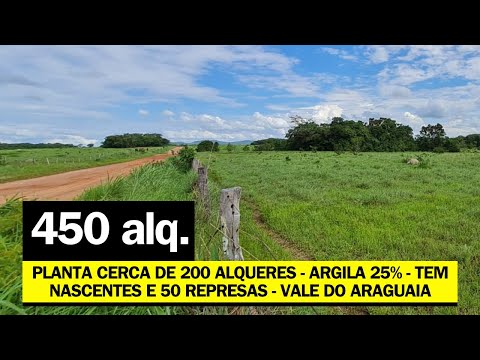 FARM FOR SALE IN THE ARAGUAIA VALLEY GOIÁS - 200 ALQUERÃO PLANT - R$ 100 THOUSAND PER ALQ.