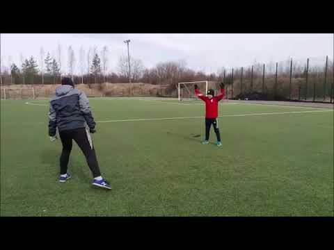 Motoriikkaharjoittelu