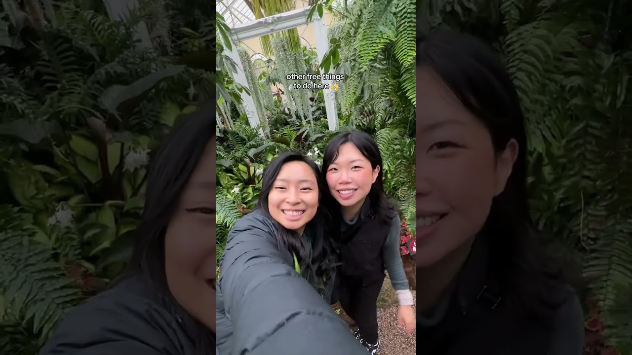 YouTube Short thumbnail