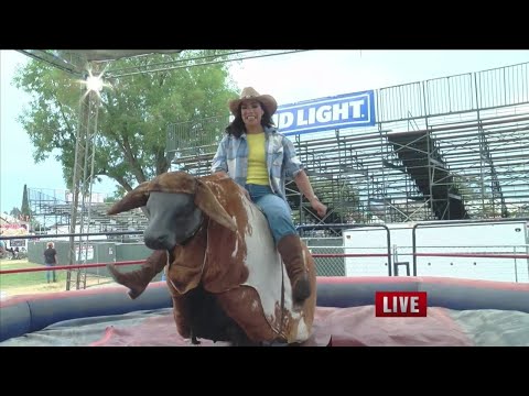 At the Fair: Candy Caceres tests a bucking mechanical bull - YouTube