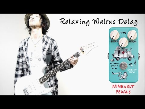 Ninevolt Pedals | Relaxing Walrus Delay (Animals Pedal)