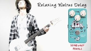 Video thumbnail for Ninevolt Pedals | Relaxing Walrus Delay (Animals Pedal) by Jake Cloudchair