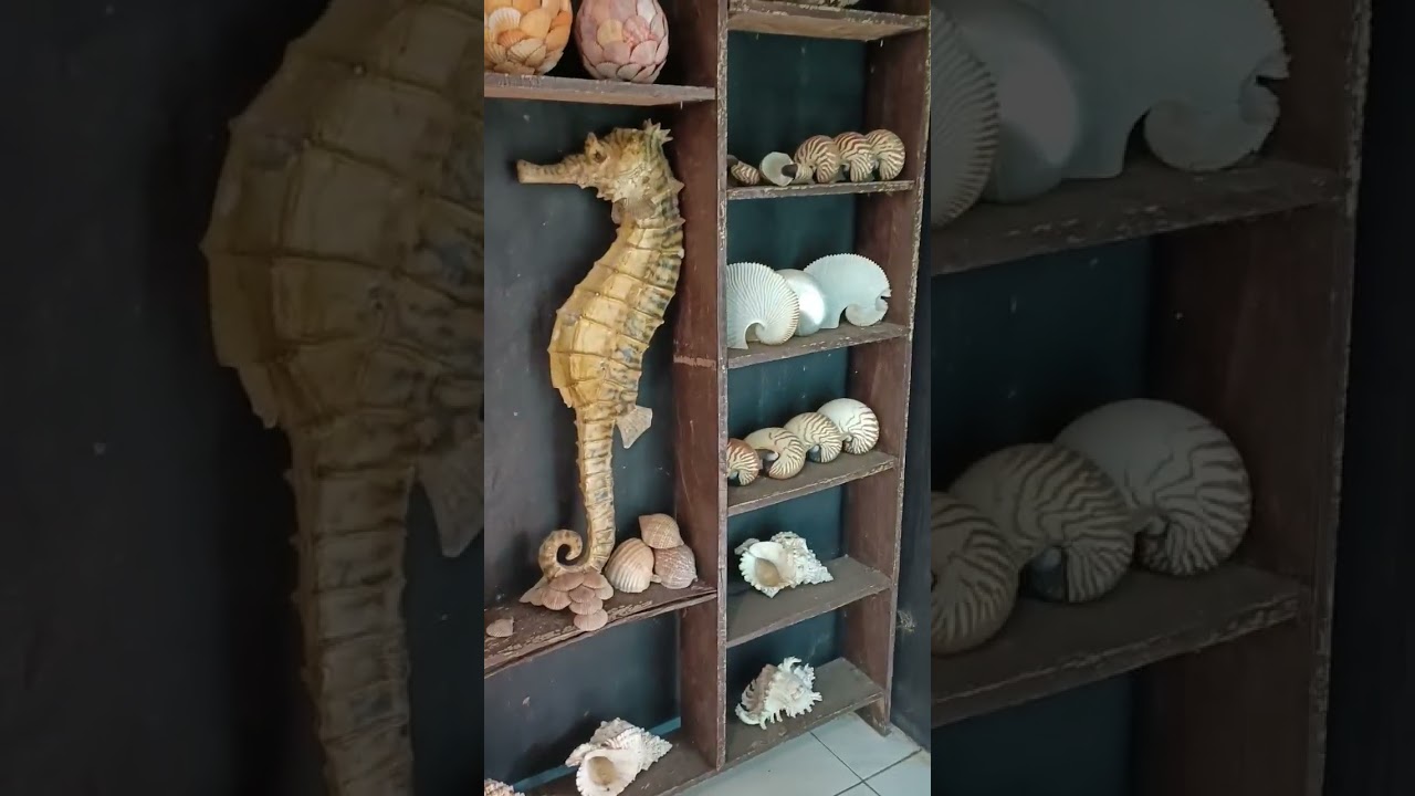 YouTube Short thumbnail