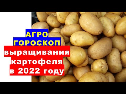 , title : 'Агрогороскоп выращивания картофеля в 2022 году'