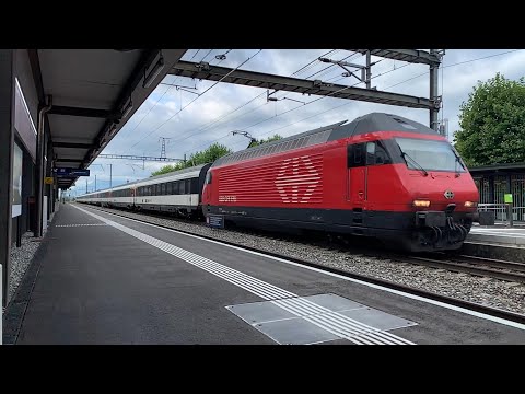TRAINS IN SLOMO - Re 460 mit EW4 Wagen