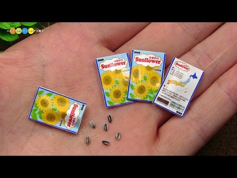 DIY Miniature Sunflower seeds　ミニチュアひまわりの種作り Video