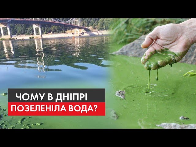 why the water turned green in the Dnipro