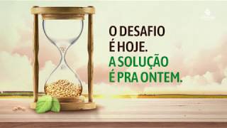 Miniatura do vídeo