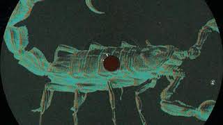 Jay Daniel ‎– Scorpio Rising EP