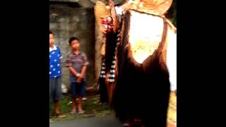 preview picture of video 'Barong mengwi'