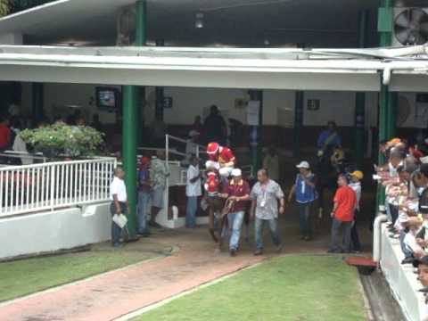 Copa Velocidad del Caribe 2011 - El Celestial (Panamá)