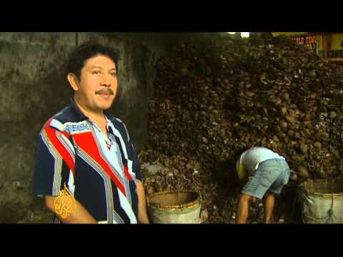 download lagu mp3 mp4 Indonesia Coconut Board, download lagu Indonesia Coconut Board gratis, unduh video klip Indonesia Coconut Board