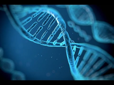 The Coen Dna-James Jacob Prasch-Live via Skype