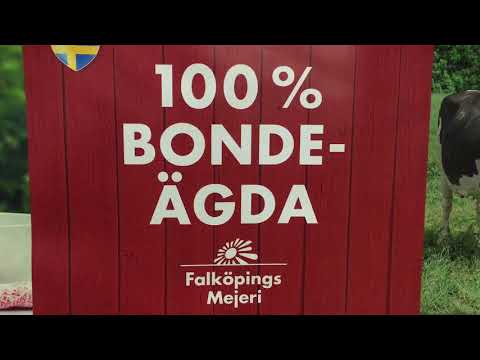 Ulf Claesson, Falköpings Mejeri: Det stora lyftet är förvärvet av Grådö