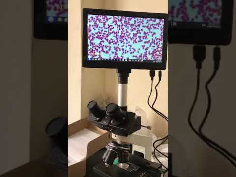 Host laboratory medical microscopes, monocular, model name/n...