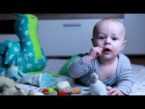 Paleo pekárna Znojmo