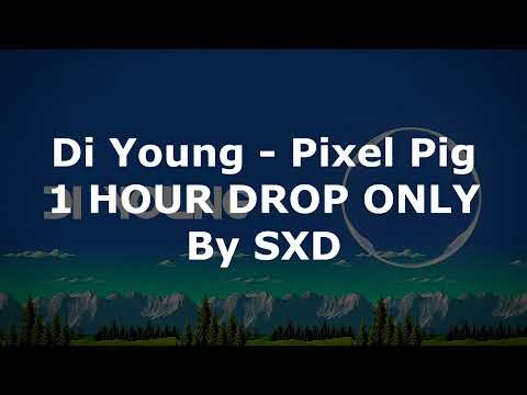 Di Young - Pixel Pig 1 HOUR DROP ONLY