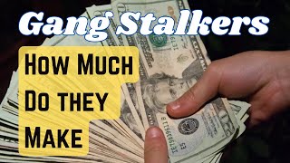 Gang Stalking - How Much Does a Stalker Earn - Organized Stalker