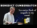 Benedict Cumberbatch reads a hilarious letter of apology to a hotel