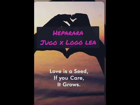 Heparara Jugo x Logo lea [2022]